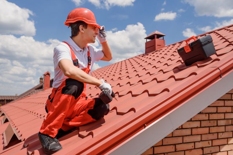 Professional Roofing Work
